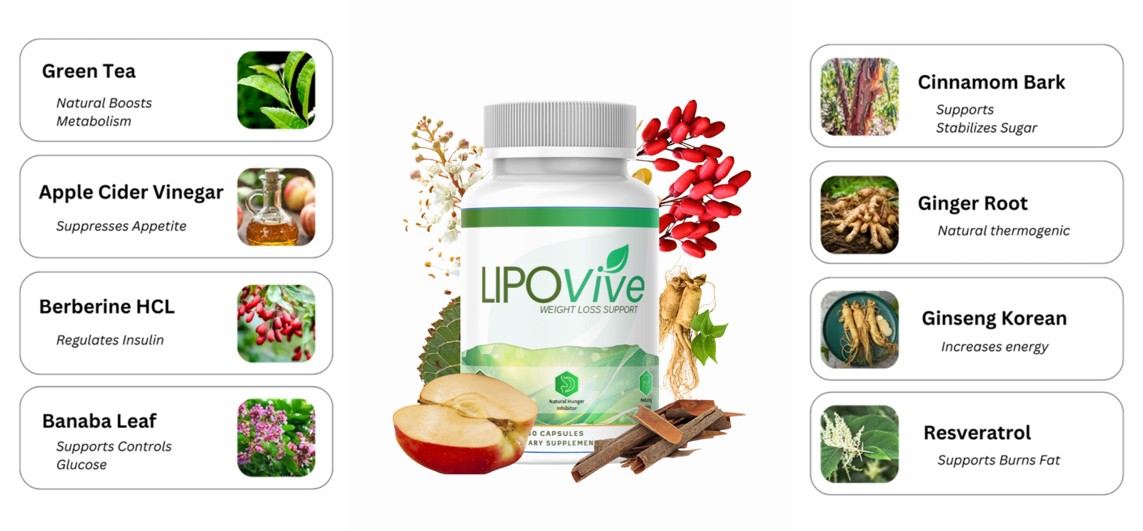 Table or list with the ingredients of the natural LipoNatural Health supplement. The text details the components of the product's formula.